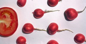 Legumes