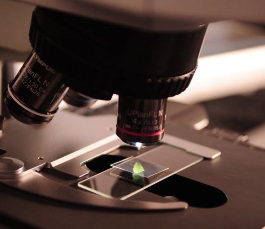 Les futurs représentants du conseil des sciences technologies de la Chine sont impliqués à l’international