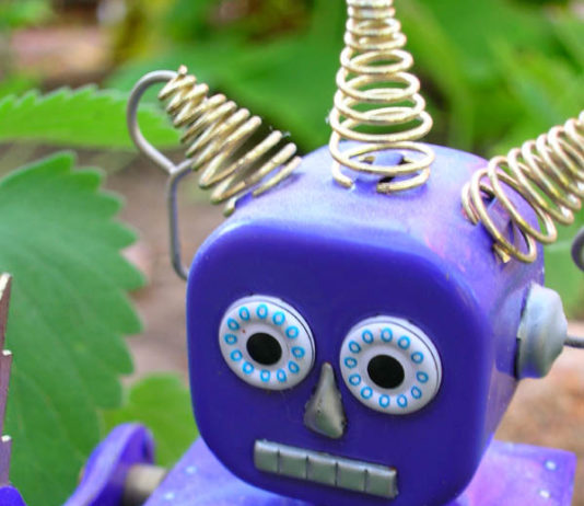 Des robots conçus pour le marché chinois